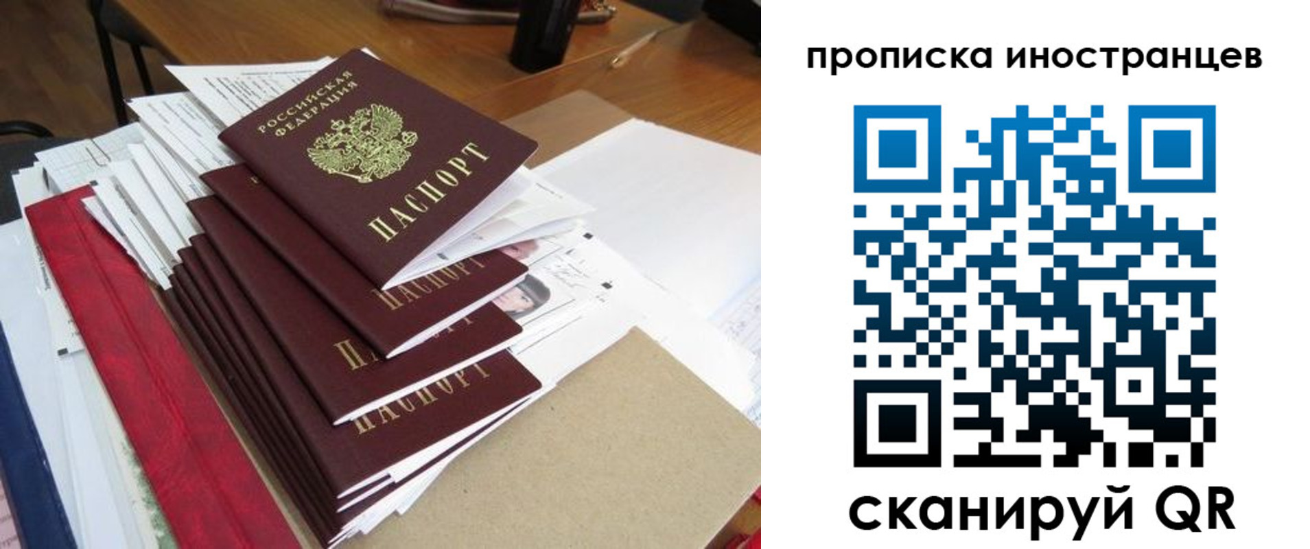 прописка для школы в Елизово